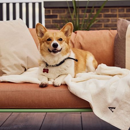 Pet Friendly Apartments Central London